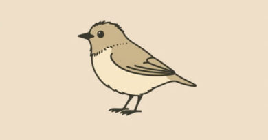 A Bad Birdwatcher'S Companion