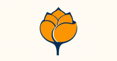 About Textile Industry In India