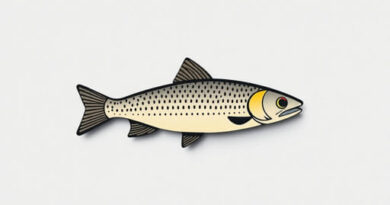 Abu Garcia Fantasista X Review