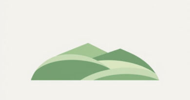 All Nonbasic Lands Are Plains