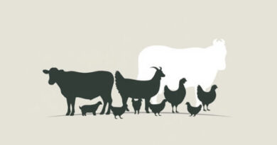 Animal Husbandry Meaning In Tamil