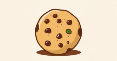 Are Chocolate Chip Cookies Vegan