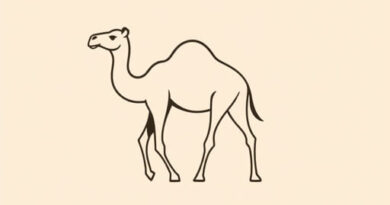 Are Dromedary Dates Still Available
