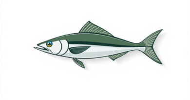 Are Garfish Good Eating