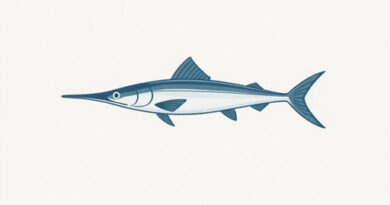 Are Garfish Good To Eat