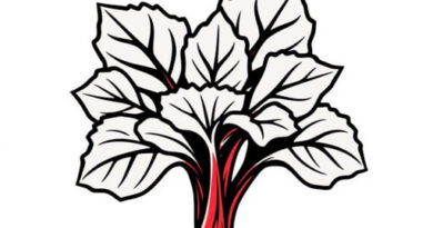 Are Rhubarb Leaves Poisonous