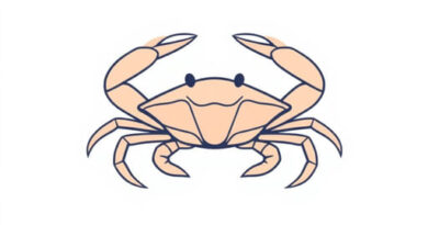 Are Soft Shell Crabs Gutted