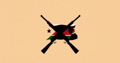 The South Sudanese Civil War