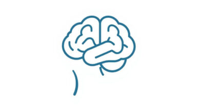 This Or That Brain Break