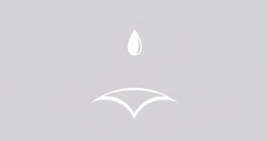 To Lay The Groundwork Meaning