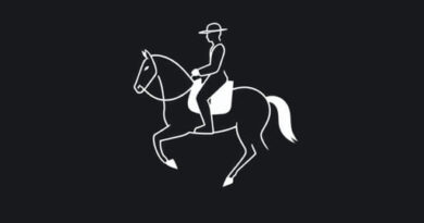 Type Of Cavalryman 7 Letters