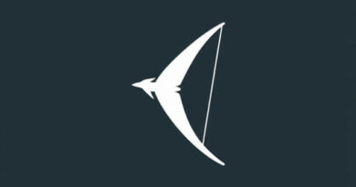 Unlimited Conventional Flight Bow