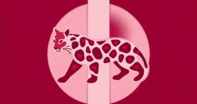 Urban Outfitters Damson Madder Leopard