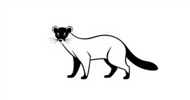 Variety Of Polecat Crossword Clue