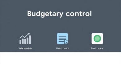 Various Types Of Budgetary Control