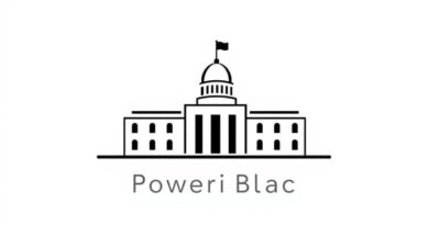 Victoria 3 Power Bloc