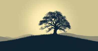 Vintage Magic Faraway Tree