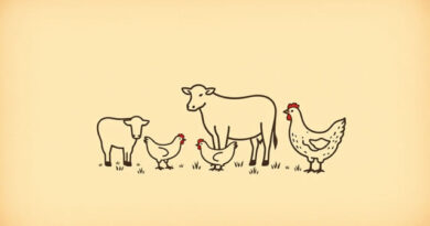 Vintage Story Animal Husbandry