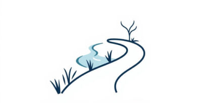 Water Of Leith Walkway