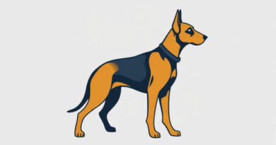 What A Police Bloodhound Does