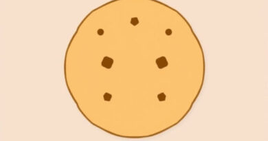 What Are Anzac Biscuits