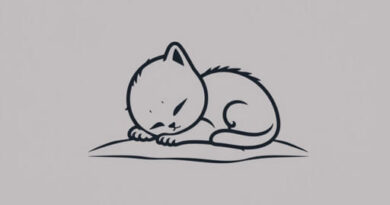 What Is A Stillborn Kitten