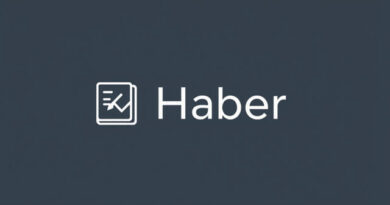 what-is-haber-in-accounting.jpg