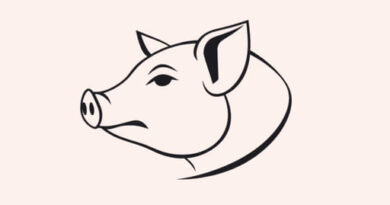 What Is Pig Swill