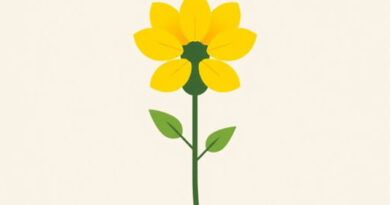 What Is Rapeseed Lecithin