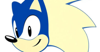 What Is Sonic The Hedgehog