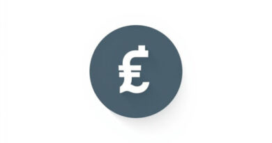 What Is The Argentinian Currency