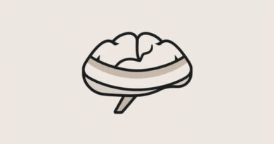 What Is The Outermost Meninx