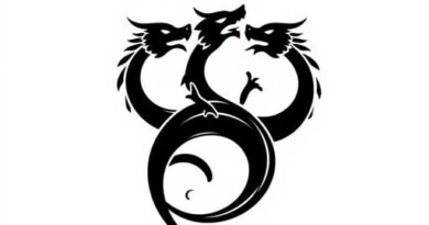 What Is Three Dragon Ante