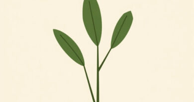 What Is Woad Used For