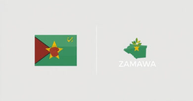 When Did Zambia Ratify Cedaw