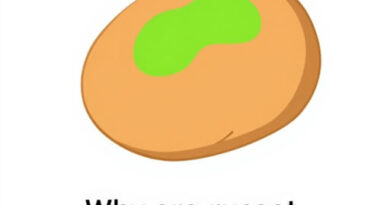 Why Are Russet Potatoes Green