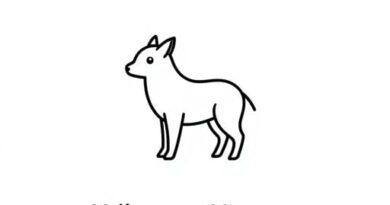 Xe Euro To Pakistani Rupee