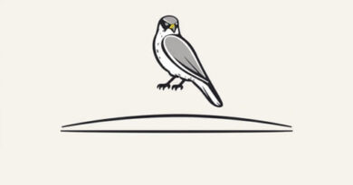 Xp Falcon Sill Panels