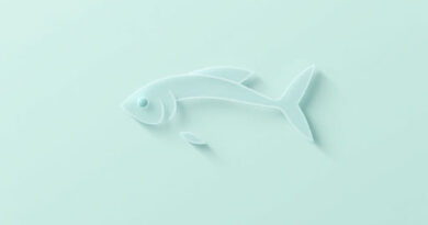 Yearly Horoscope 2024 Pisces