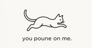 You Pounce On Me Meaning