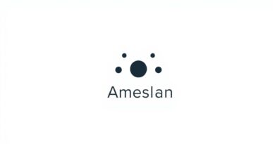 Ameslan is Another Name For