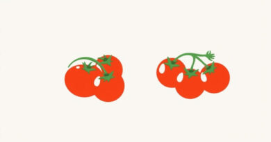 Are Tinned Tomatoes Healthy
