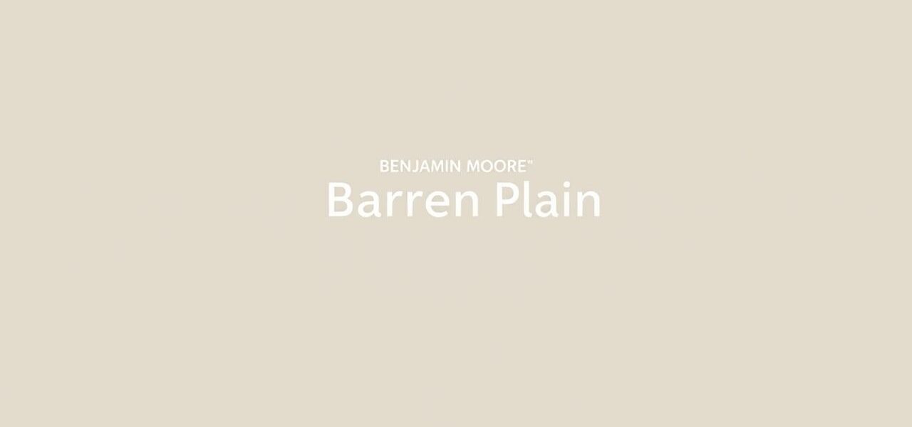 Benjamin Moore Barren Plain