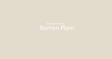 Benjamin Moore Barren Plain