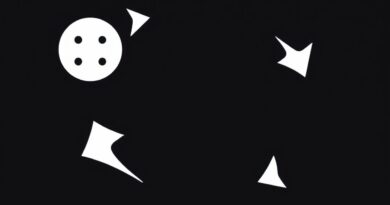 Bortons Model of Reflection