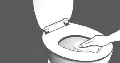 Clean Limescale from Toilet