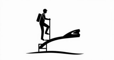 Climb Aboard Crossword Clue