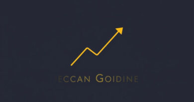 Deccan Goldmine Share Price