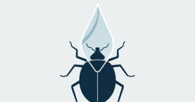 does paraffin kill bed bugs