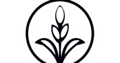 does wild rice have arsenic